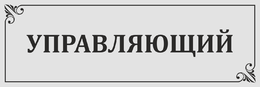 Табличка на дверь «Управляющий»